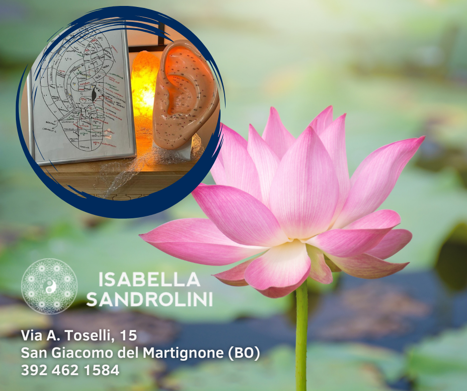 Naturopatia e Benessere attraverso l’Auricoloterapia Naturopatia e Benessere attraverso l’Auricoloterapia