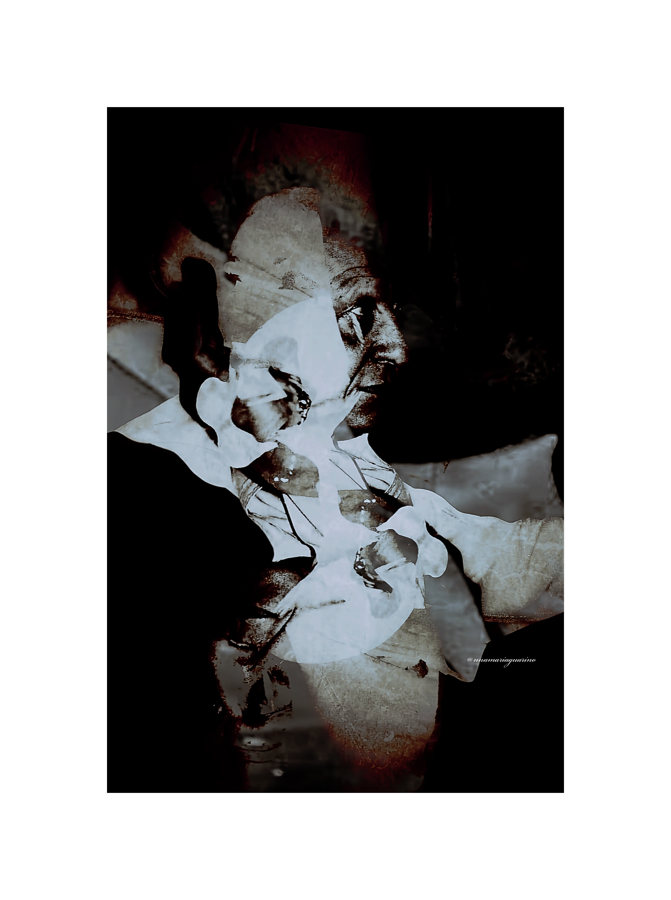 Confronti tra esseri