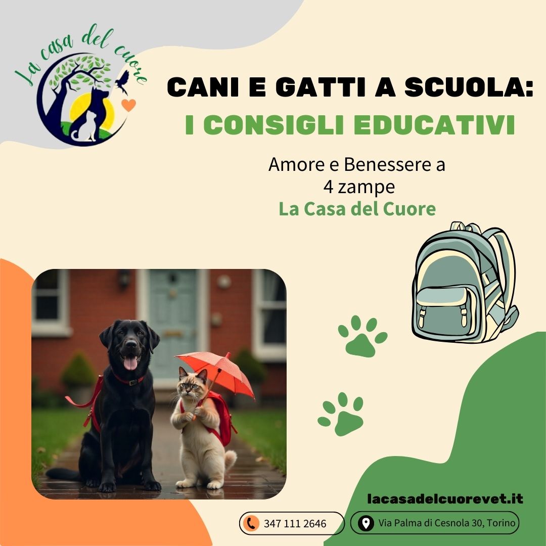 Cani e gatti a scuola: i consigli de La Casa del Cuore