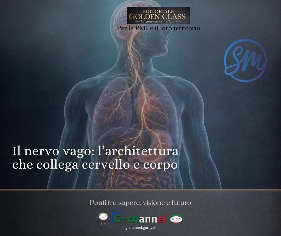 Il nervo vago: l’architettura invisibile
