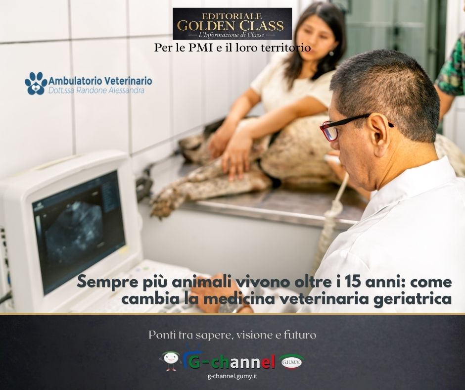 Sempre più animali vivono oltre i 15 anni: come cambia la medicina veterinaria geriatrica