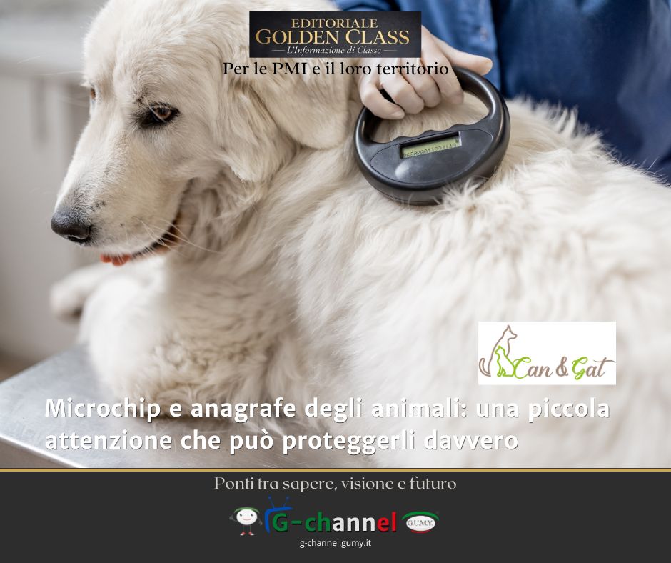 Microchip e anagrafe degli animali: una piccola attenzione che può proteggerli davvero