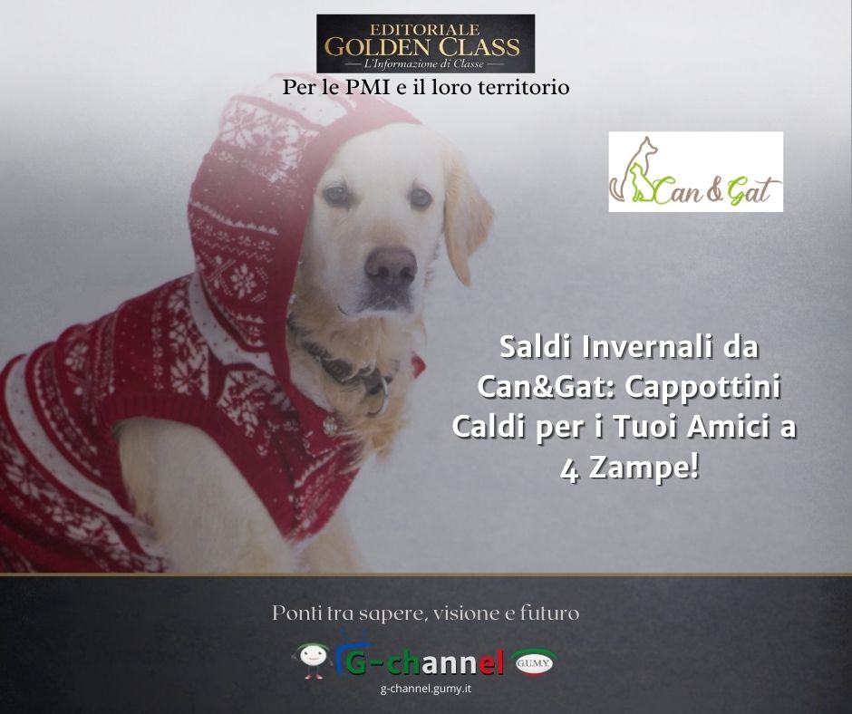 Saldi Invernali: Cappottini Caldi per i Tuoi Amici a 4 Zampe!