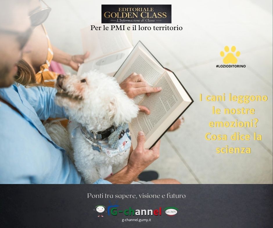 I cani leggono le nostre emozioni? Cosa dice la scienza