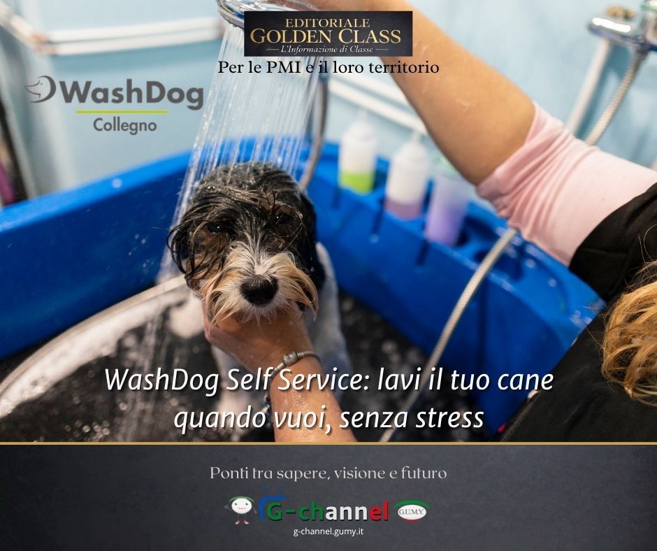 WashDog Self Service: lavi il tuo cane quando vuoi, senza stress