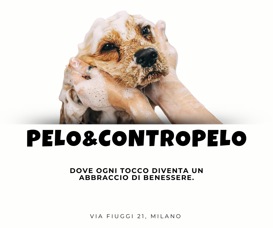 La Spa per il Tuo Amico a Quattro Zampe La Spa per il Tuo Amico a Quattro Zampe
