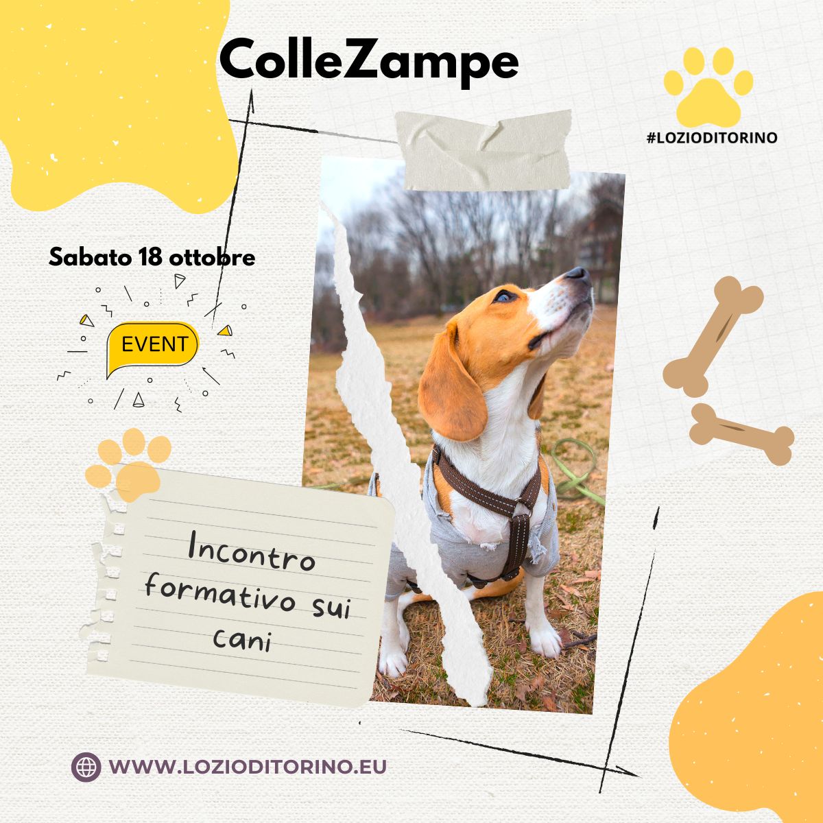 ColleZampe: Sabato 18 ottobre – Incontro formativo sui cani ColleZampe: Sabato 18 ottobre – Incontro formativo sui cani