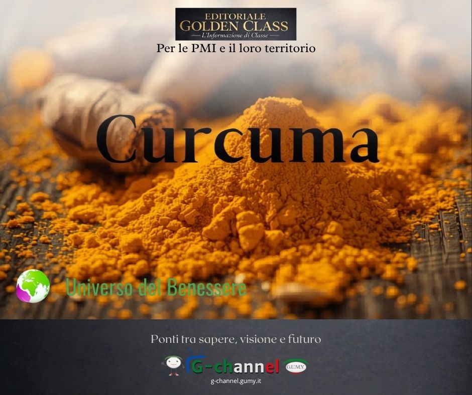 Curcuma: oro giallo contro infiammazione e invecchiamento