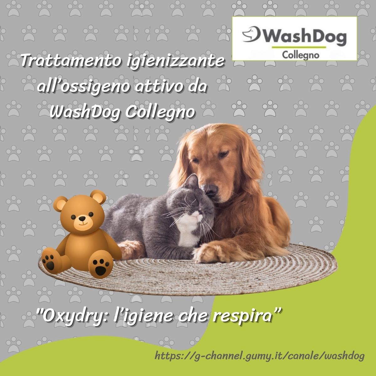 Trattamento igienizzante all’ossigeno attivo da WashDog Collegno.