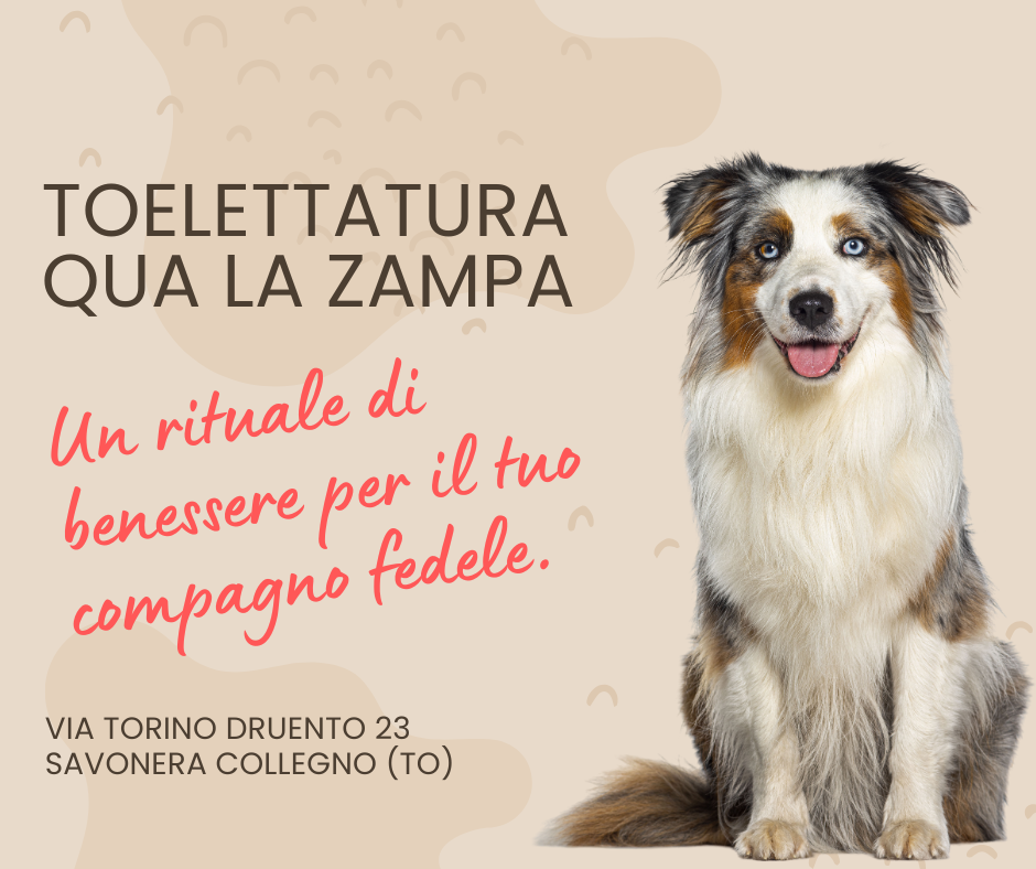 Il Rituale del Benessere – La Toelettatura come Momento di Relax Il Rituale del Benessere – La Toelettatura come Momento di Relax