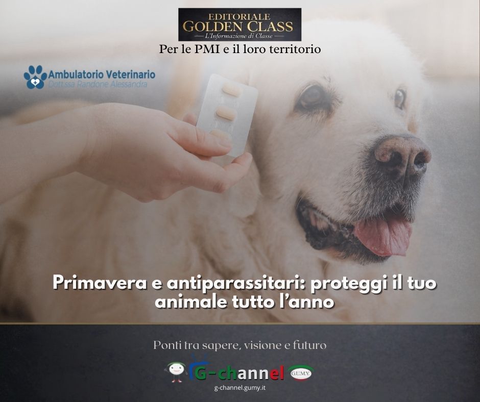 Primavera e antiparassitari: proteggi il tuo animale tutto l’anno