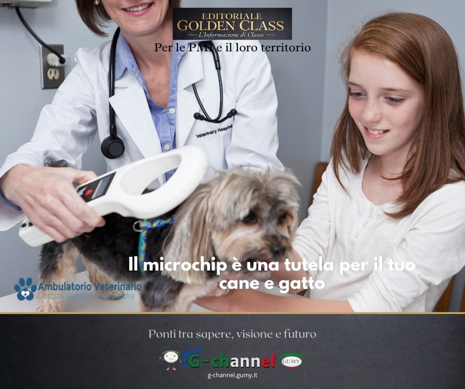 Il microchip è una tutela per il tuo cane e gatto