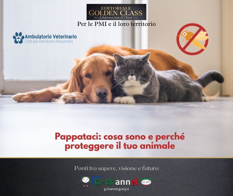 Pappataci: cosa sono e perché proteggere il tuo animale