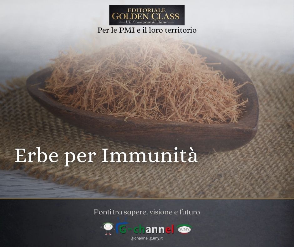 Erbe per Immunità: Echinacea, Propoli e Sambuco dal Nostro Banco