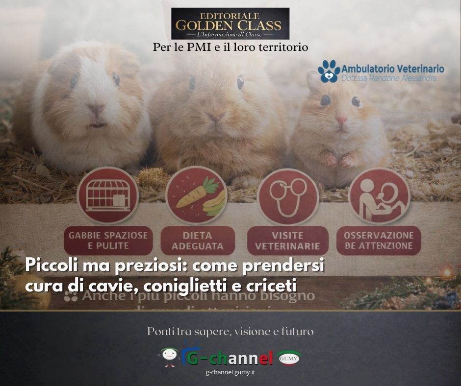 La salute dei piccoli animali: cavie, conigli e criceti hanno bisogno di cure e attenzioni