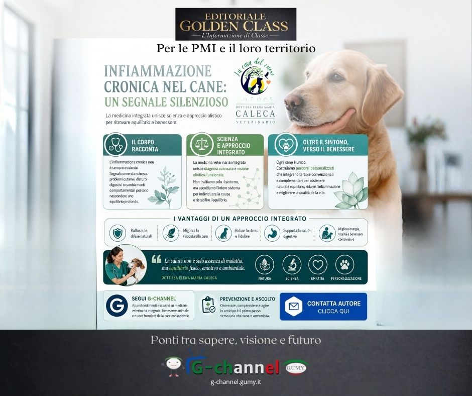 Infiammazione cronica nel cane: approccio integrato