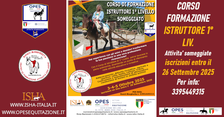 🟤 DIVENTA ISTRUTTORE DI 1° LIVELLO IN ATTIVITÀ CON ASINI 🟤 DIVENTA ISTRUTTORE DI 1° LIVELLO IN ATTIVITÀ CON ASINI