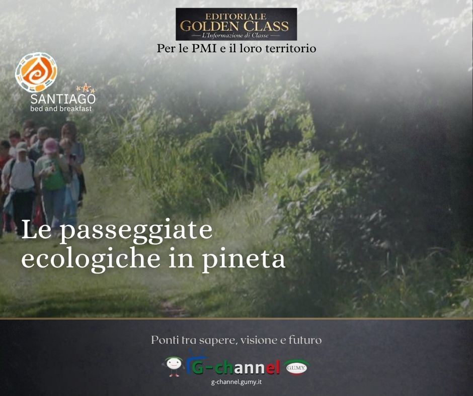 Le passeggiate ecologiche in pineta