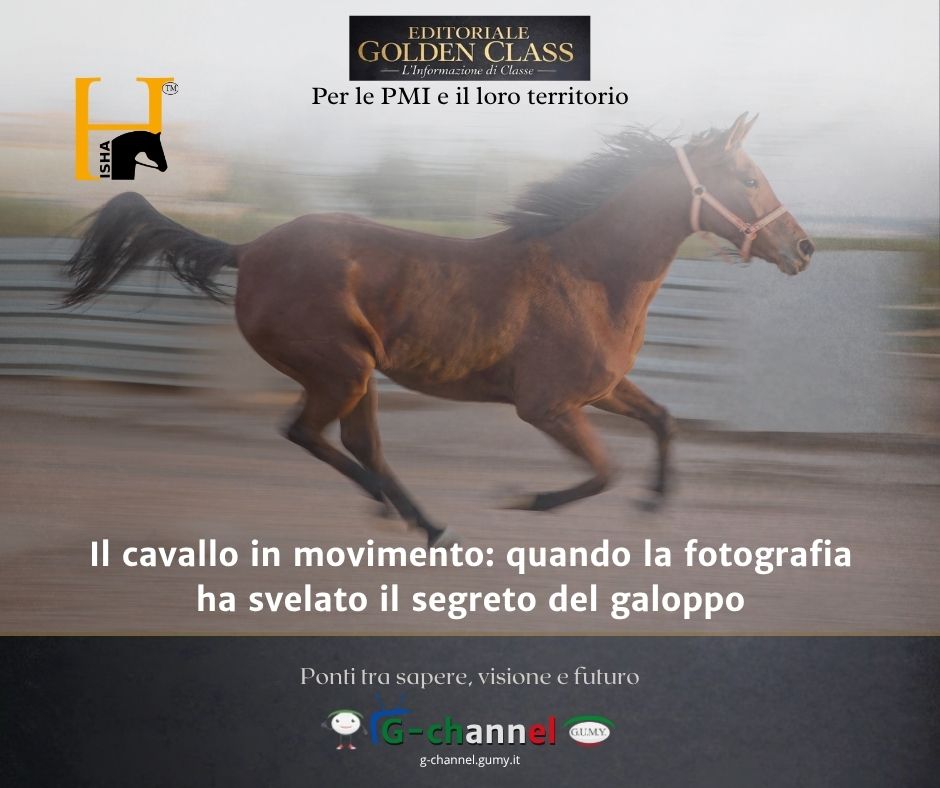 Il cavallo in movimento: quando la fotografia ha svelato il segreto del galoppo