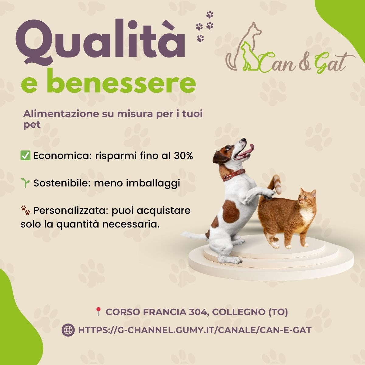 🐶🐱 Cibo per cani e gatti: qualità e benessere da Can & Gat 🐶🐱 Cibo per cani e gatti: qualità e benessere da Can & Gat