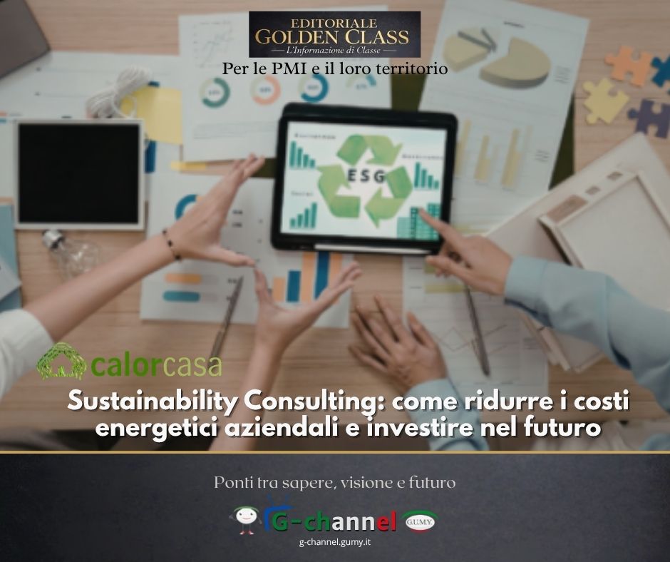 Sustainability Consulting: come ridurre i costi energetici aziendali e investire nel futuro