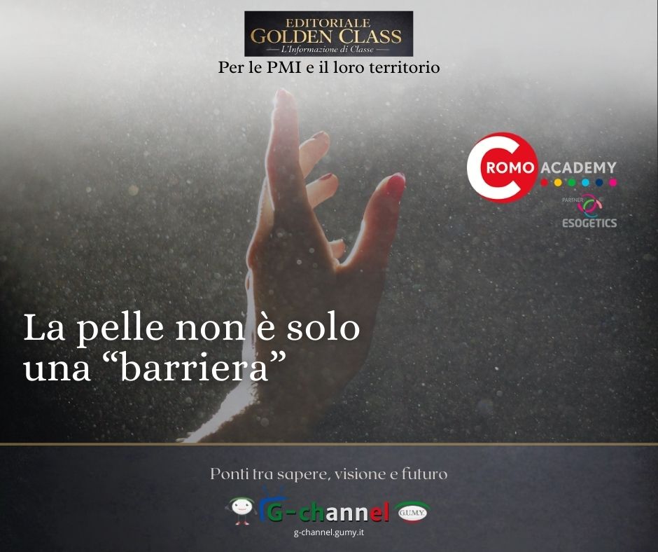 La pelle non è solo una “barriera”