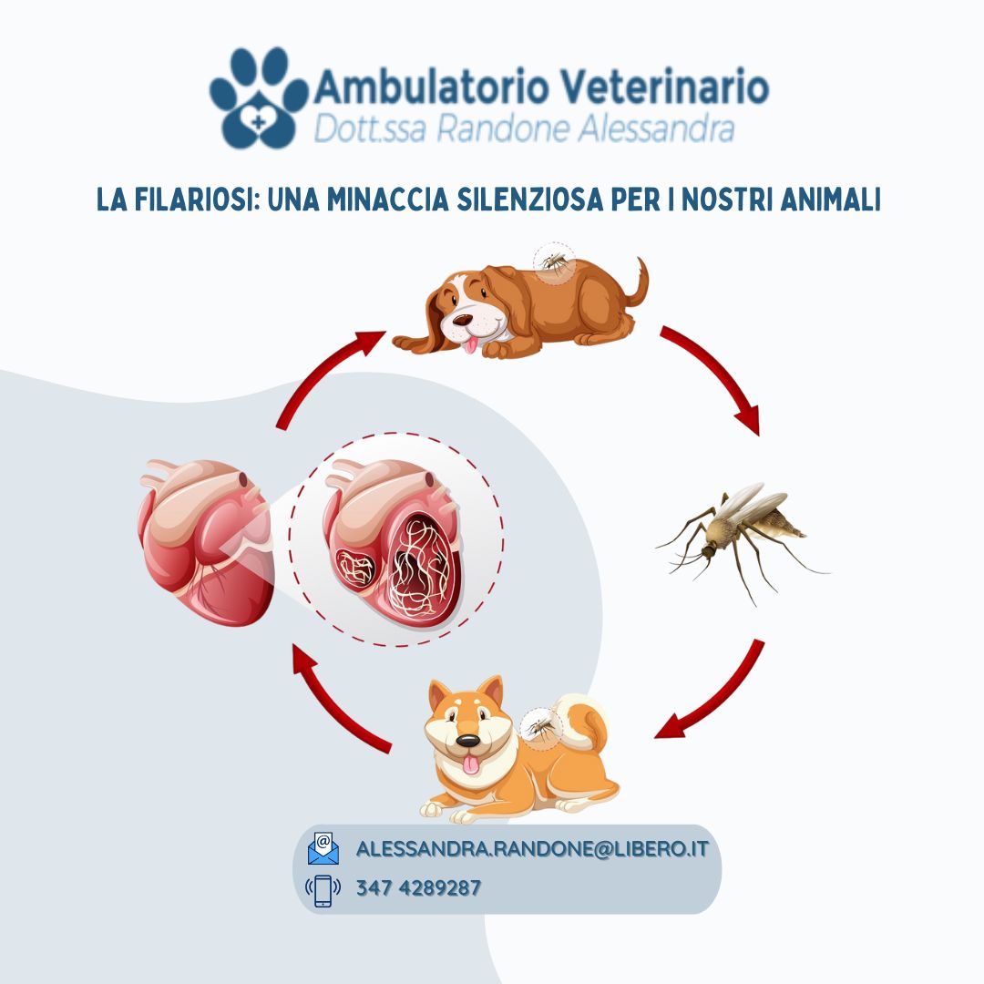 La Filariosi: una minaccia silenziosa per i nostri animali