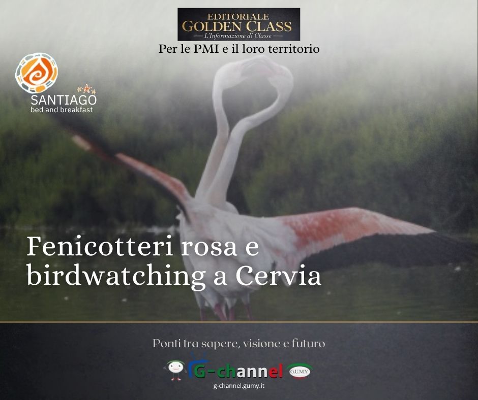 Fenicotteri rosa e birdwatching a Cervia