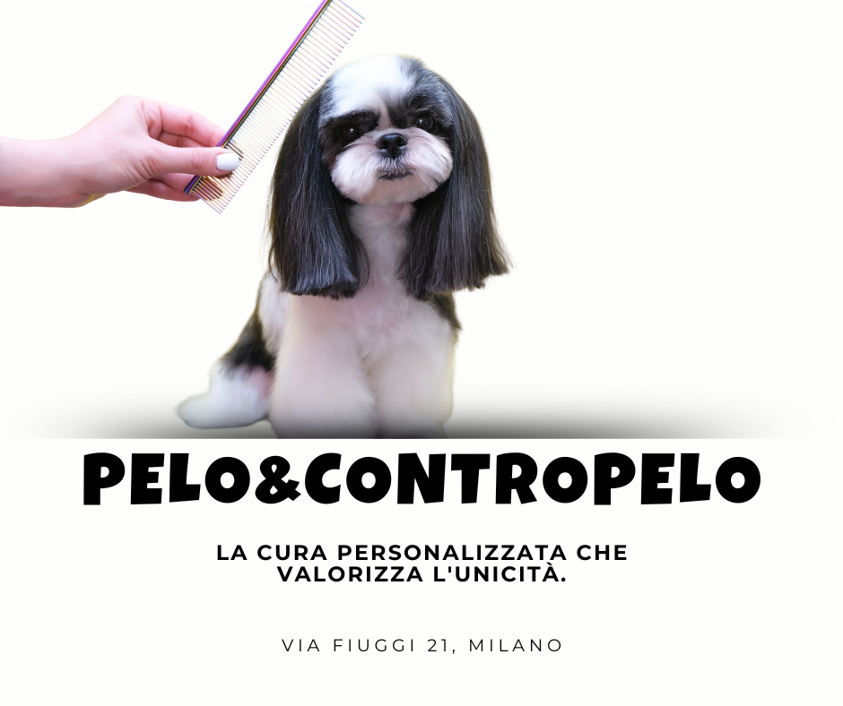 Toelettatura su Misura – La Cura Personalizzata per Ogni Razza Toelettatura su Misura – La Cura Personalizzata per Ogni Razza