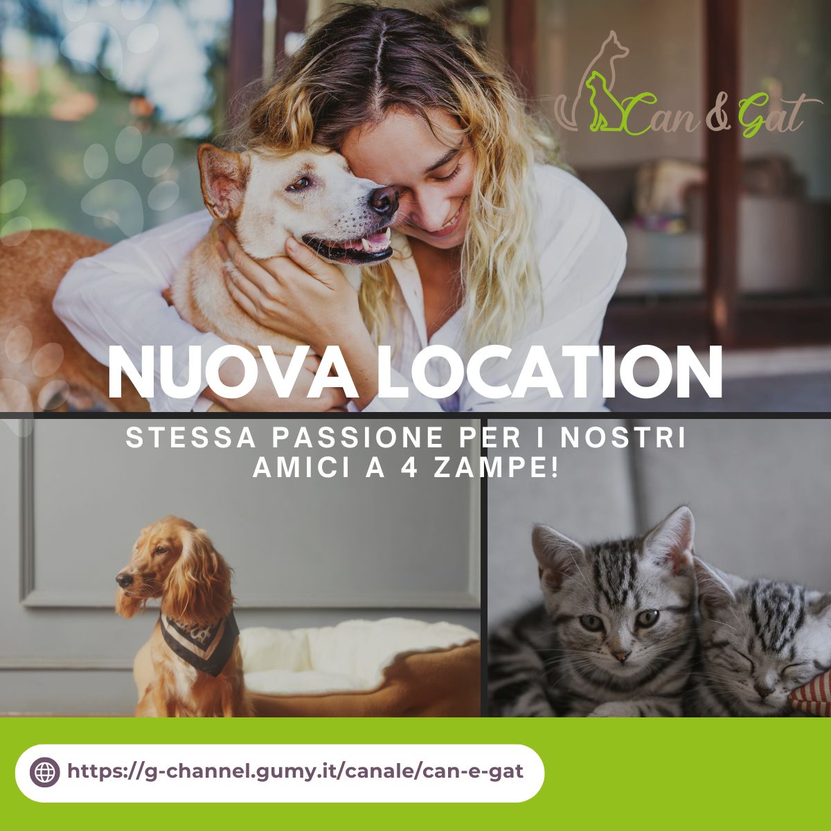 Can & Gat si rinnova: nuova sede, stessa passione per i nostri amici a 4 zampe!