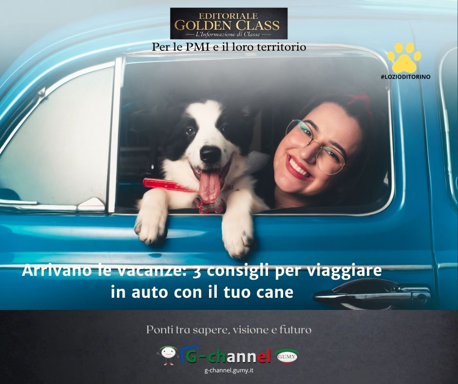 Arrivano le vacanze: 3 consigli per viaggiare in auto con il tuo cane