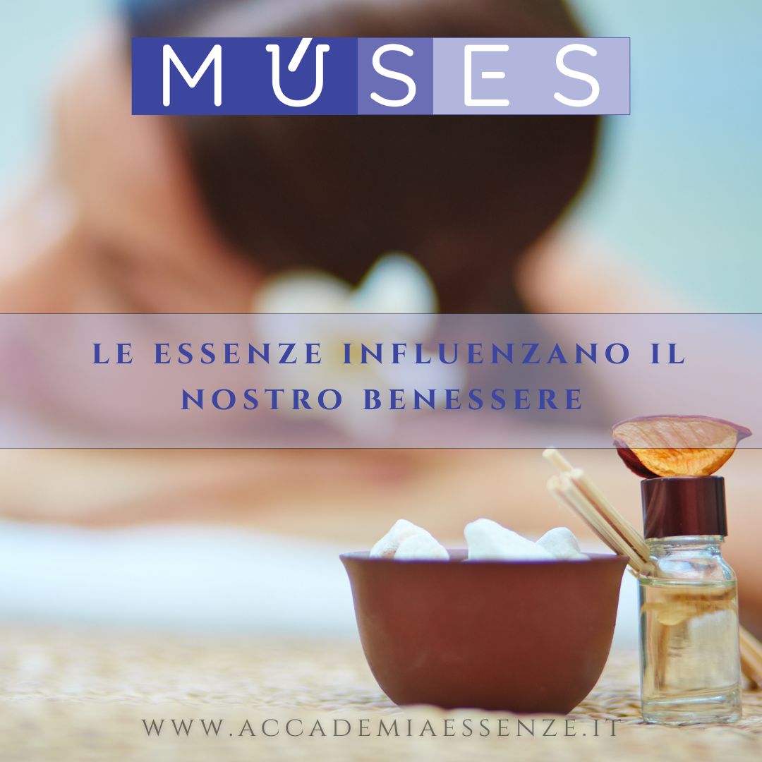 Il potere dei profumi: le essenze influenzano il nostro benessere