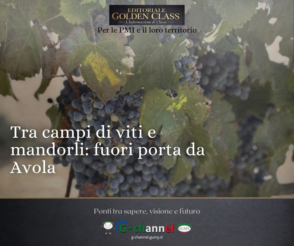 Tra campi di viti e mandorli: fuori porta da Avola