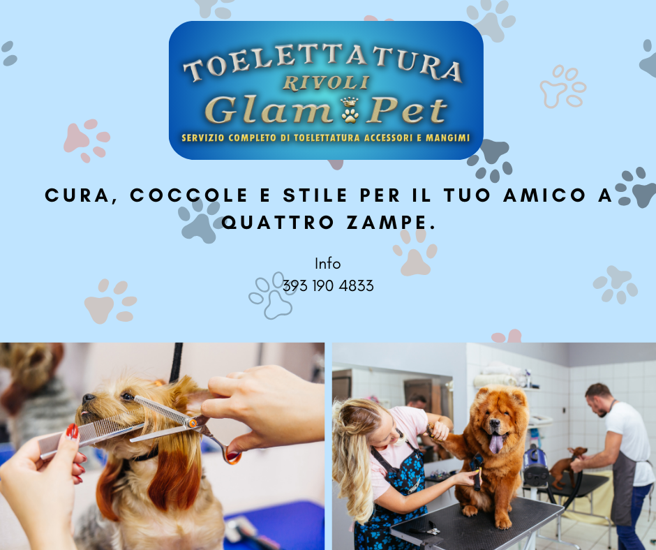 Tecniche innovative nella toelettatura