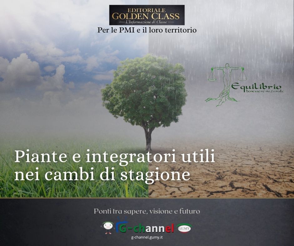 Piante e integratori utili nei cambi di stagione