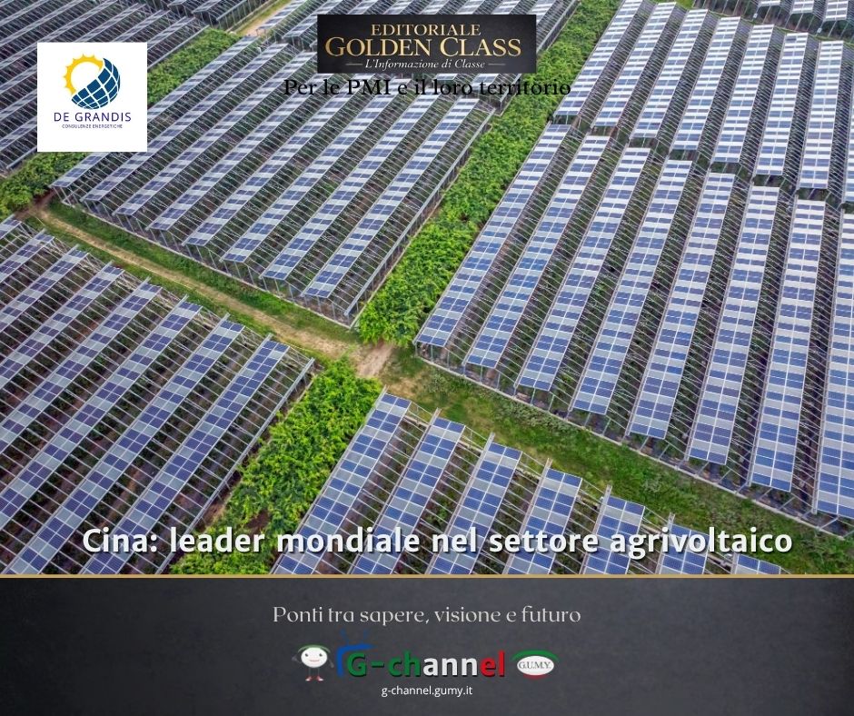 Cina: leader mondiale nel settore agrivoltaico