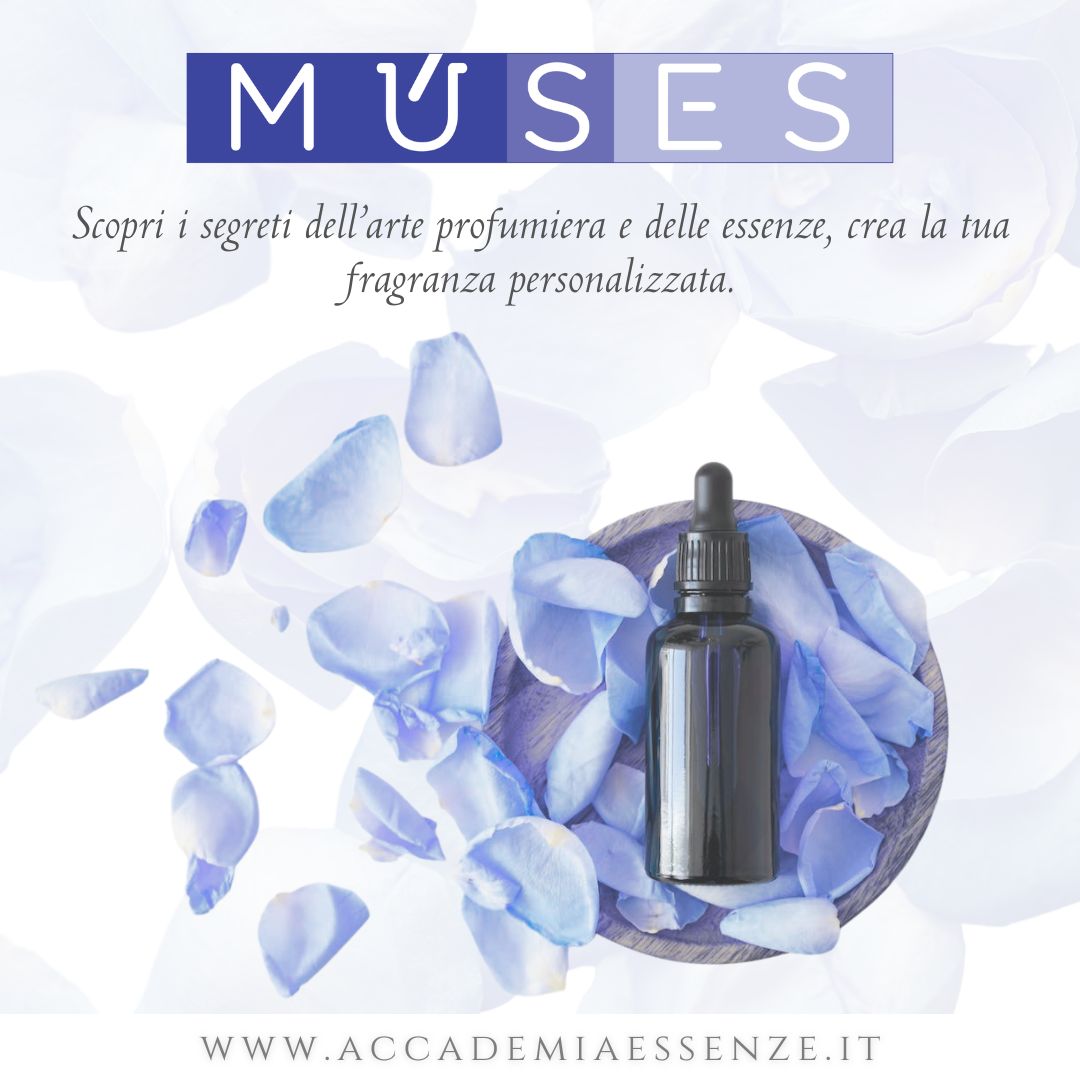 Mu’ses – Accademia Europea delle Essenze: un viaggio nel cuore della cultura olfattiva. Mu’ses – Accademia Europea delle Essenze: un viaggio nel cuore della cultura olfattiva.