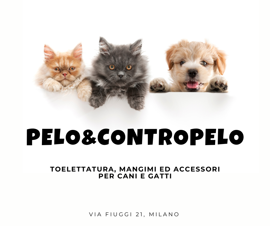 Pelo&Contropelo – Cura e Benessere per Cani e Gatti da Oltre 30 Anni Pelo&Contropelo – Cura e Benessere per Cani e Gatti da Oltre 30 Anni