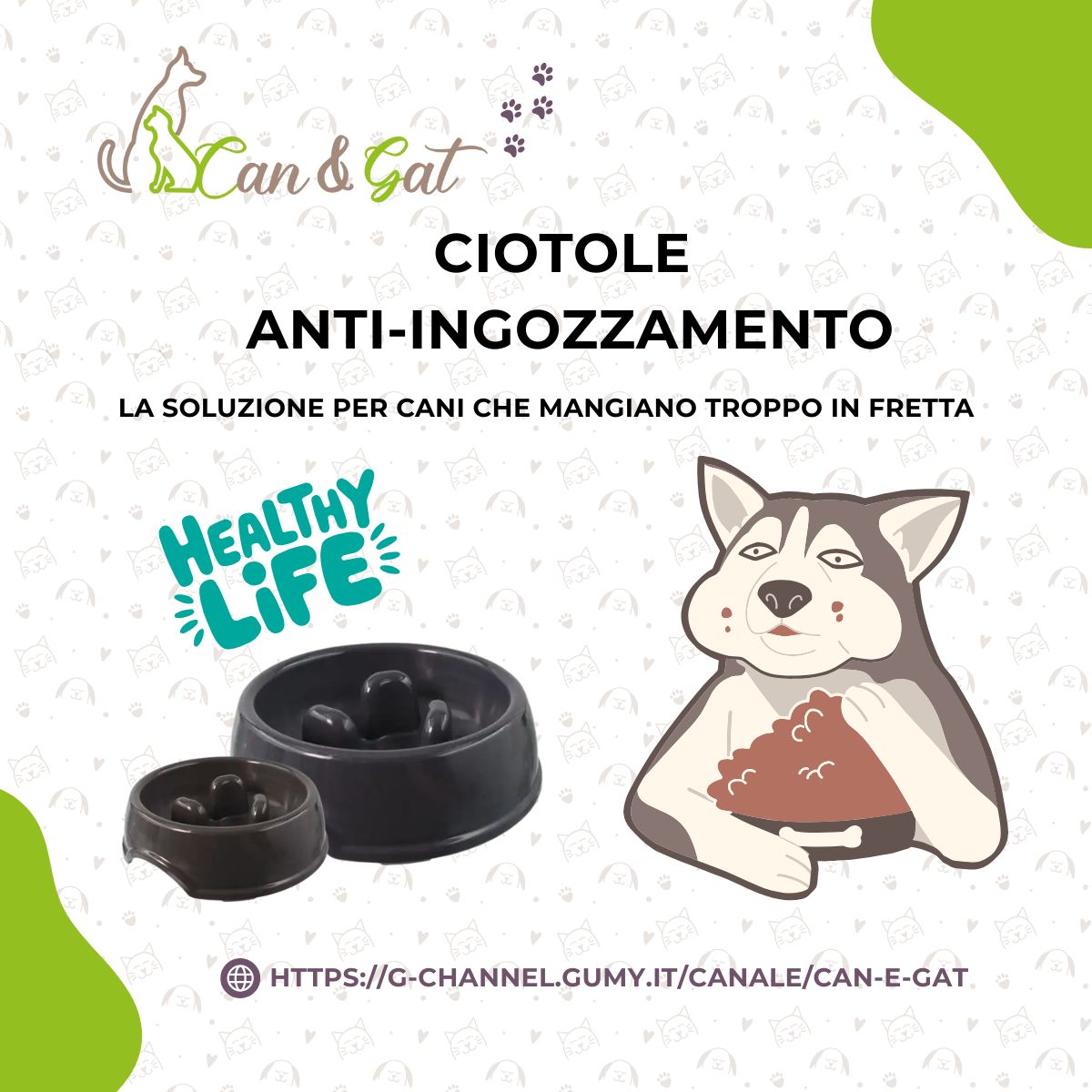 Ciotole anti-ingozzamento: la soluzione per cani che mangiano troppo in fretta
