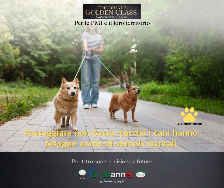 Passeggiare non basta: perché i cani hanno bisogno anche di stimoli mentali