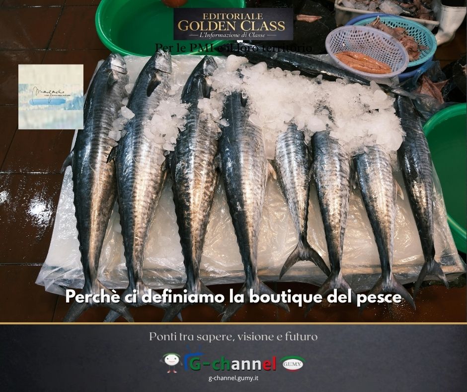 Perchè ci definiamo la boutique del pesce