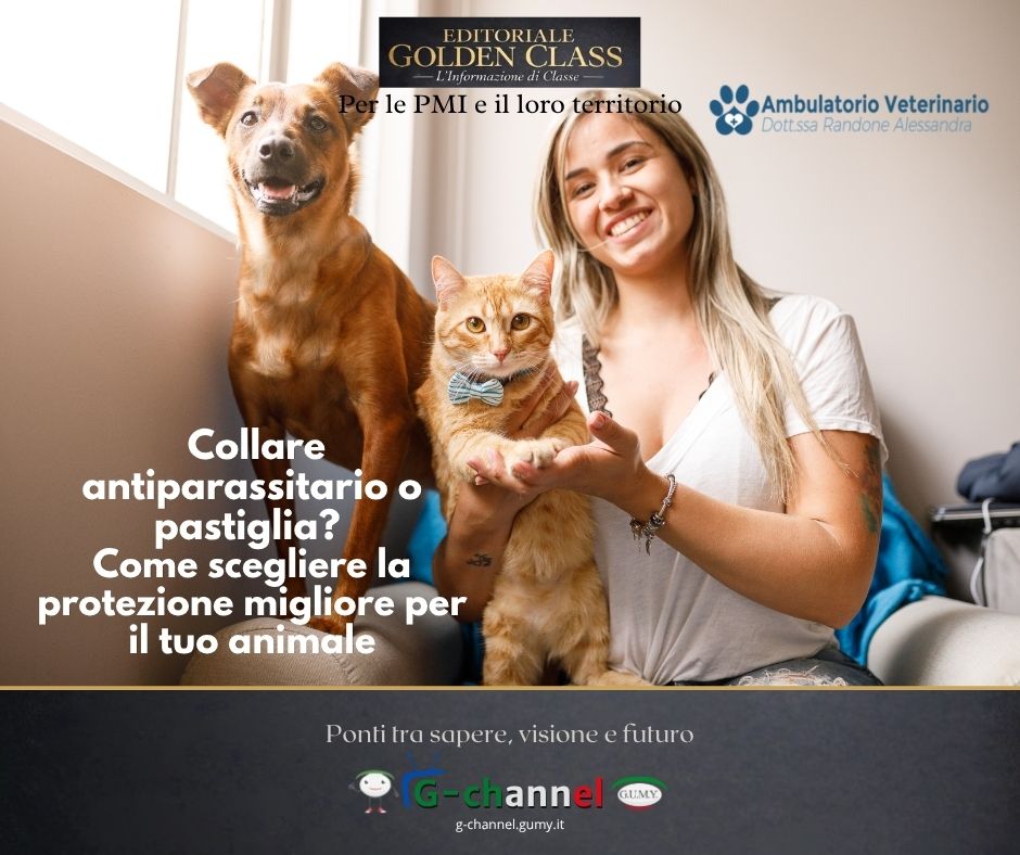 Collare antiparassitario o pastiglia? Come scegliere la protezione migliore per il tuo animale