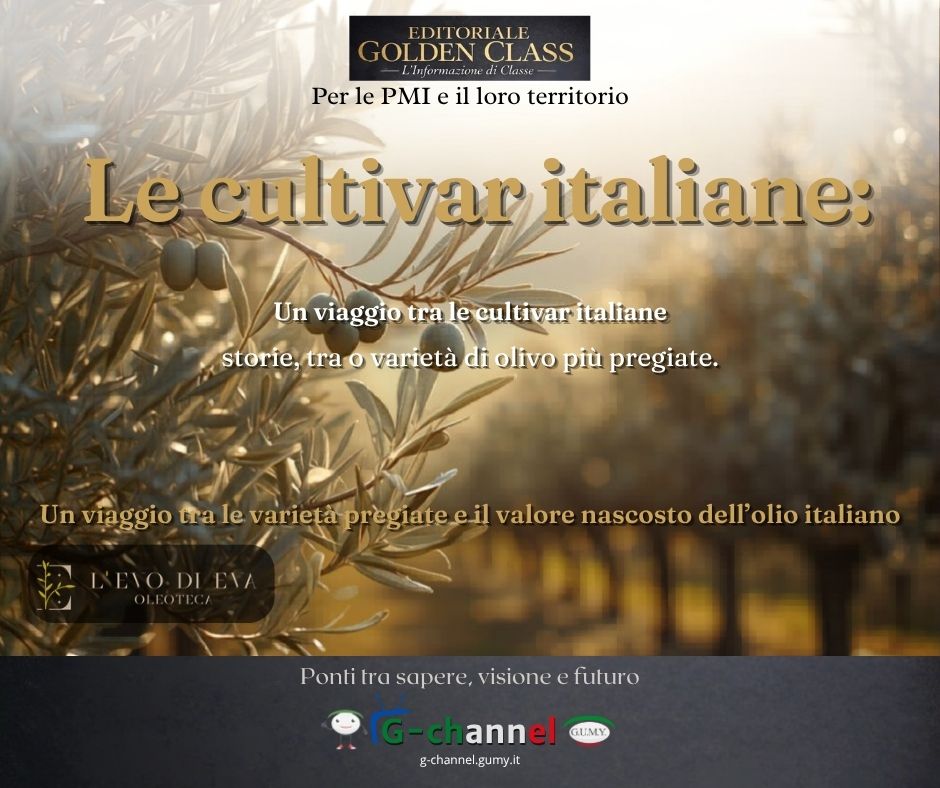 Le cultivar italiane: viaggio tra le varietà di olivo più pregiate