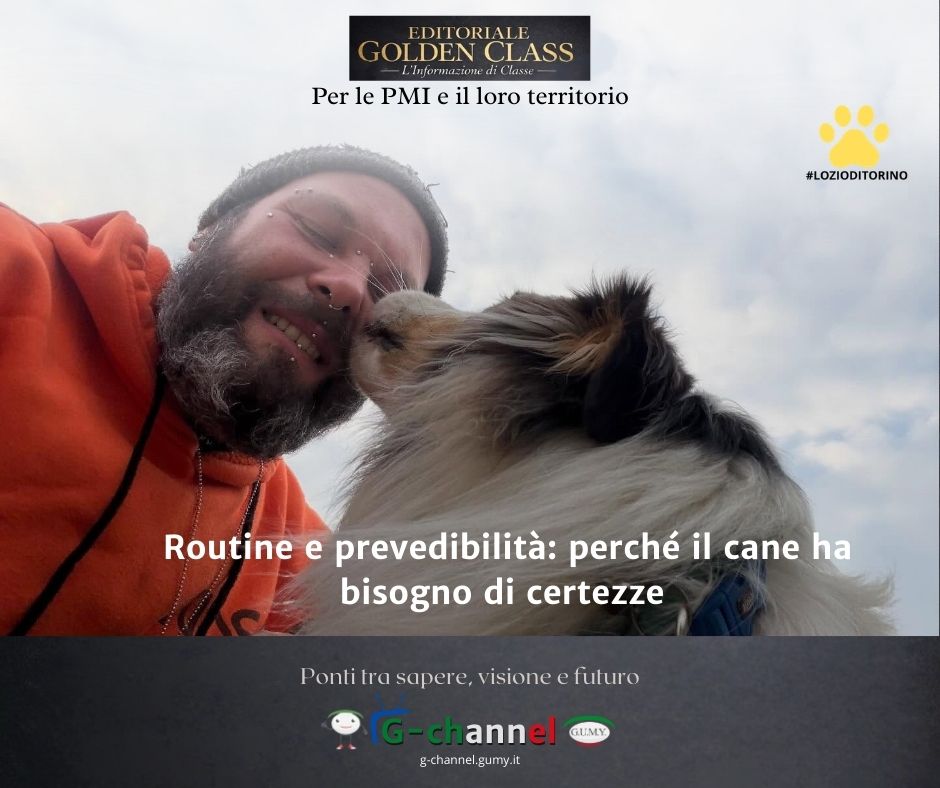 Routine e prevedibilità: perché il cane ha bisogno di certezze