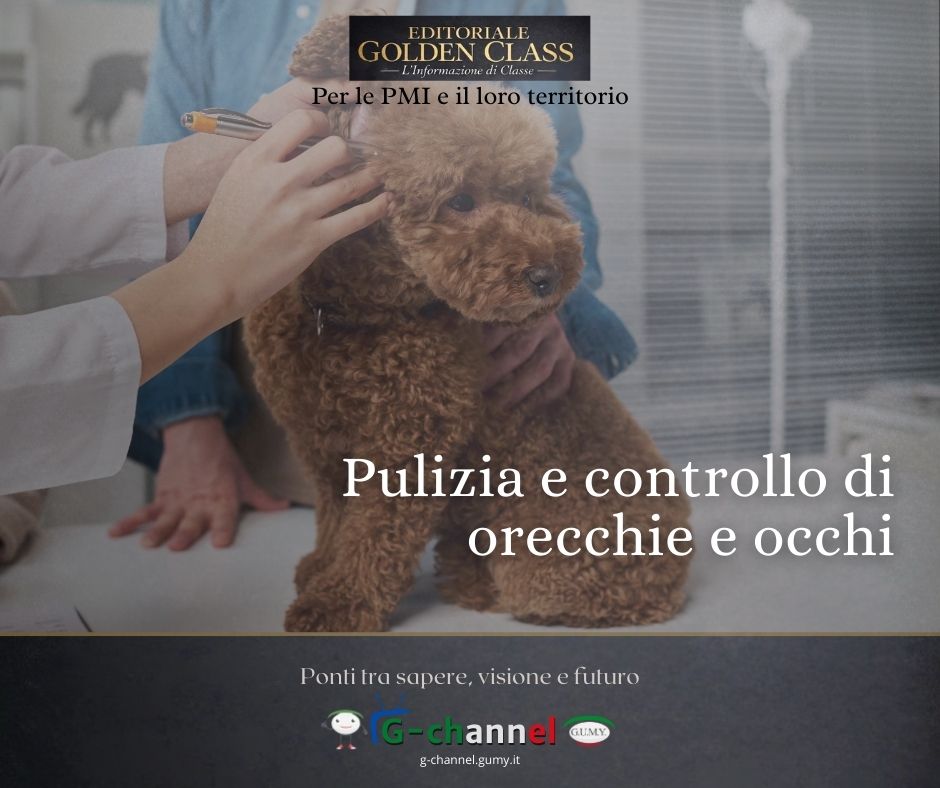 Pulizia e controllo di orecchie e occhi