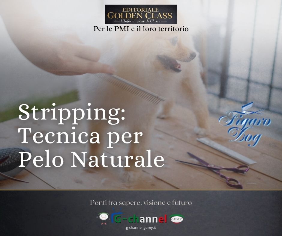 Stripping: Tecnica per Pelo Naturale