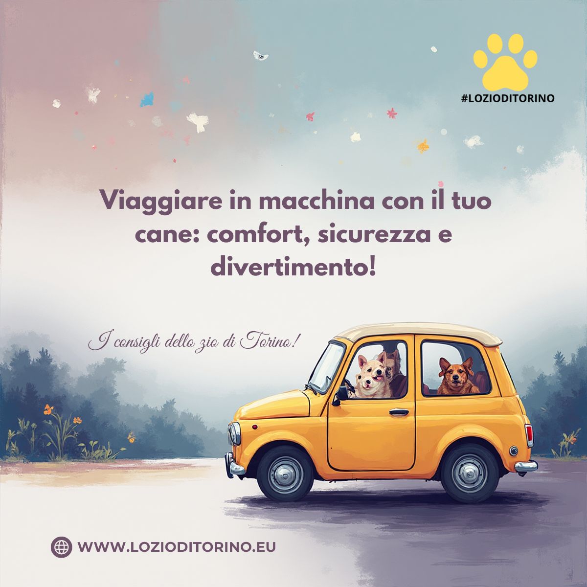 Viaggiare in macchina con il tuo cane: comfort, sicurezza e divertimento!