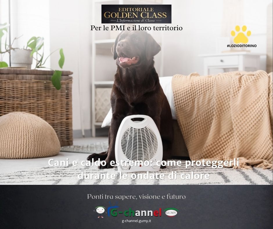 Cani e caldo estremo: come proteggerli durante le ondate di calore