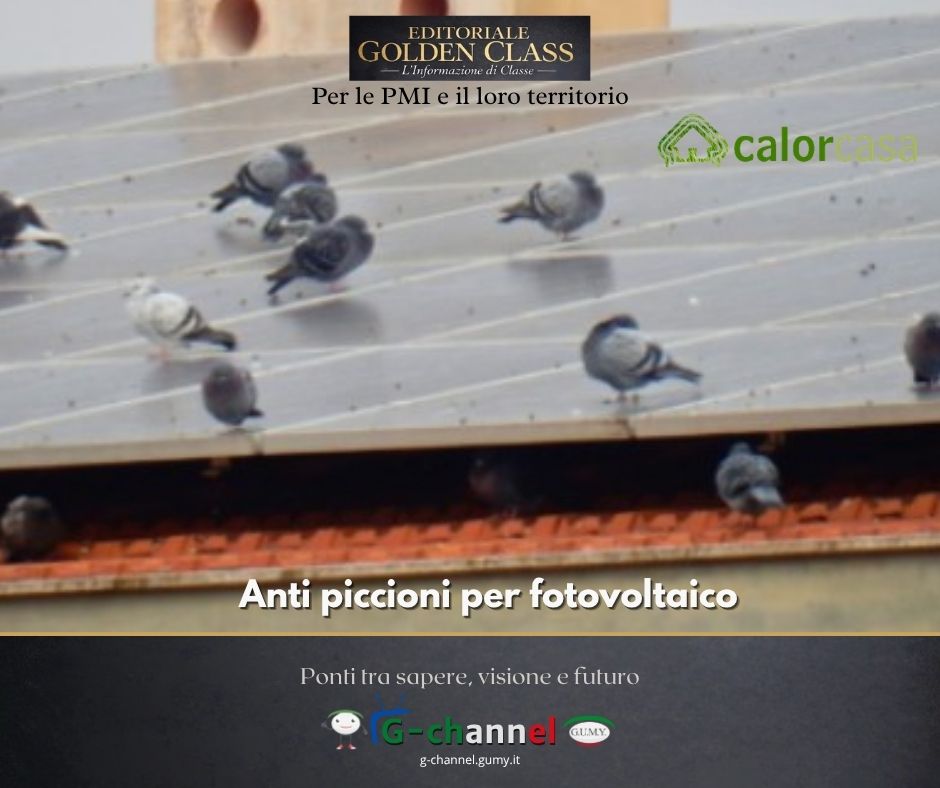 Anti piccioni per fotovoltaico
