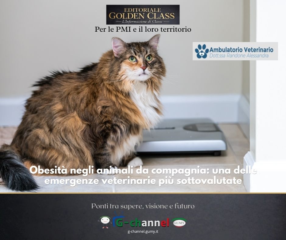 Obesità negli animali da compagnia: una delle emergenze veterinarie più sottovalutate